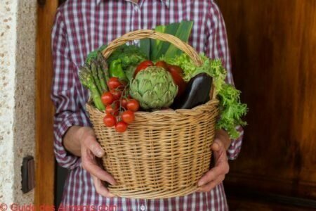saison légumes