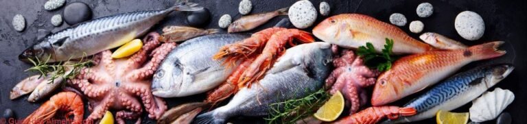 Poissons frais – calendrier des saisons